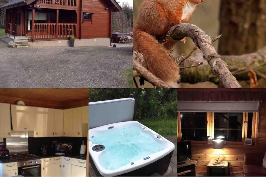 Red Squirrel Log Cabin With Hot Tub Keith Zewnętrze zdjęcie